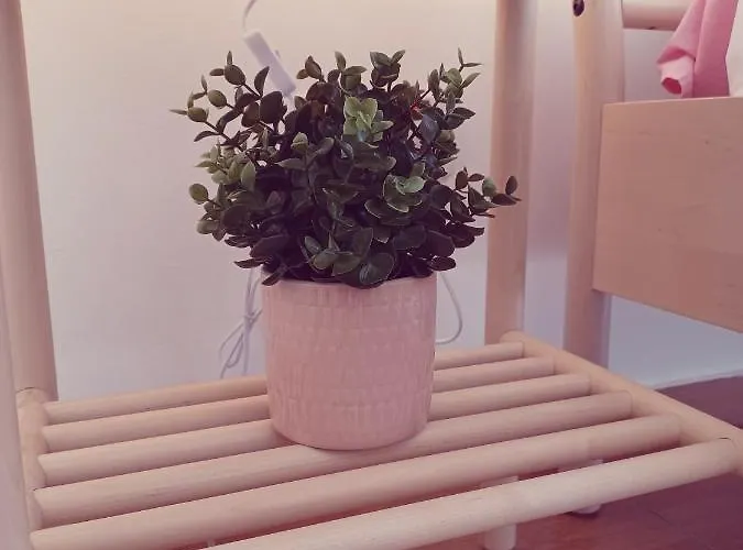 Sea View With Private Pool Villa *